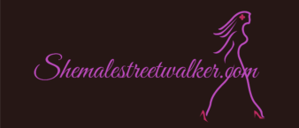 Shemalesstreetwalker